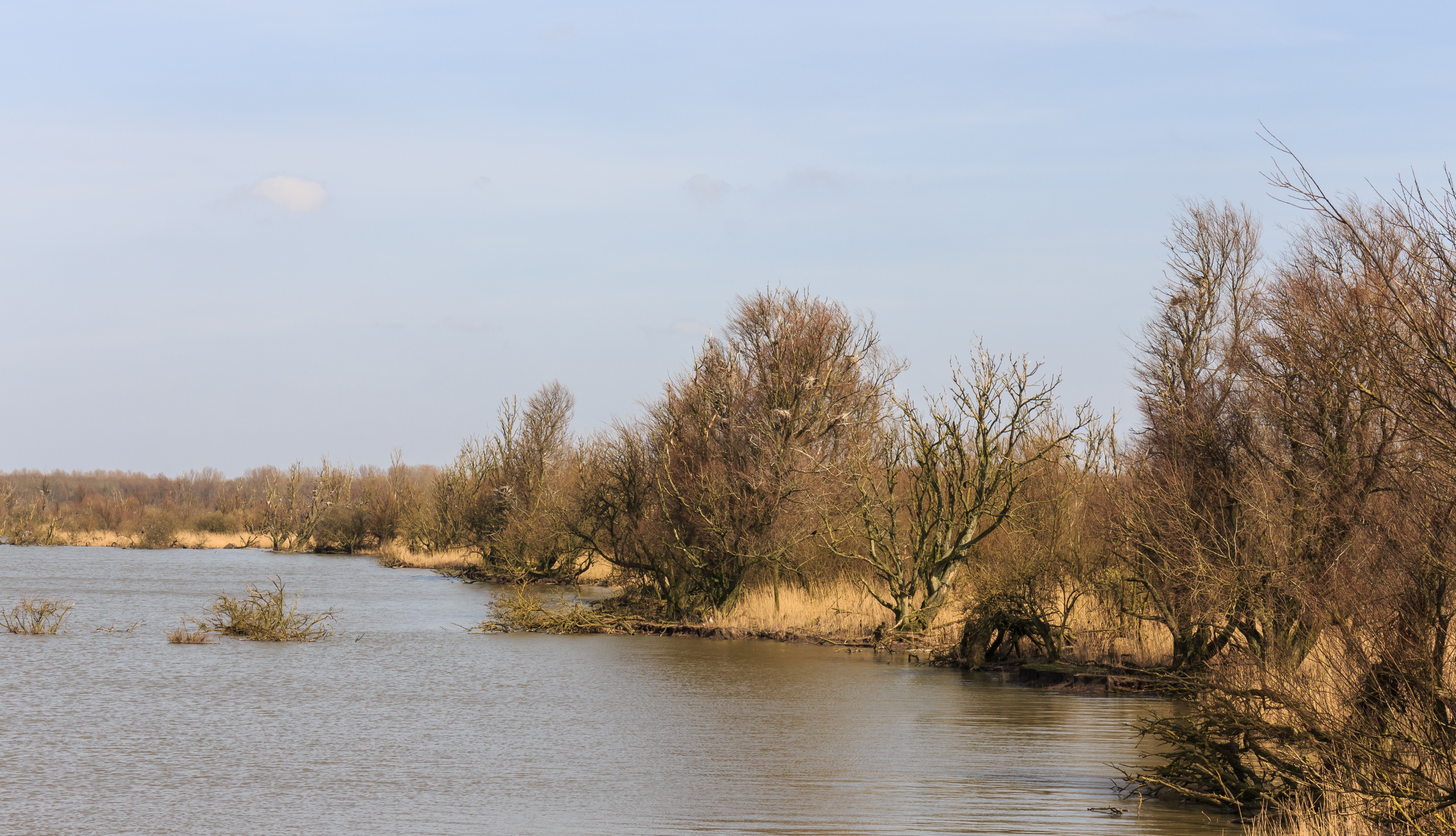 Oostvaardersplassen. Nieuwe natuur op de bodem van de voormalige Zuiderzee 11