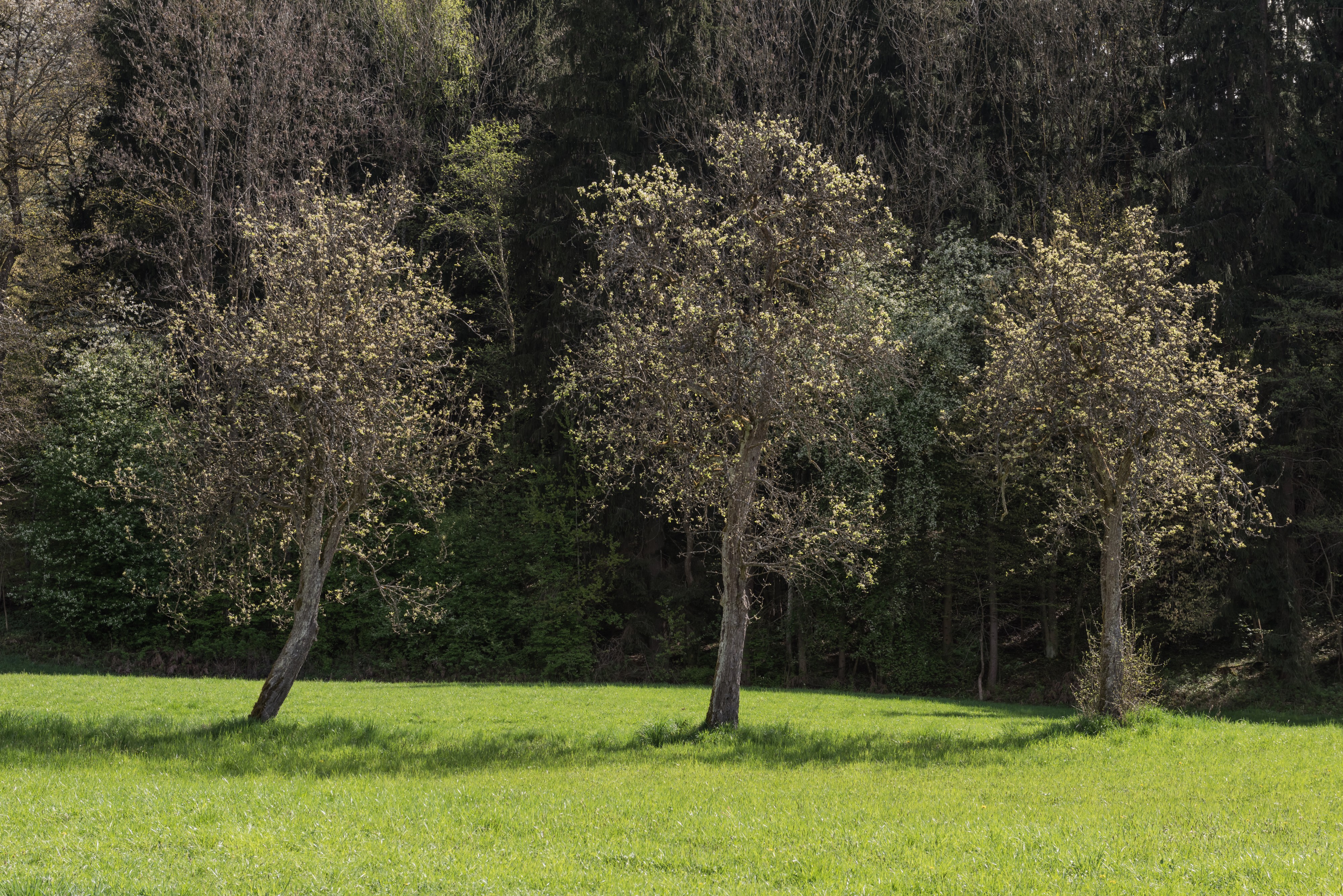 Poertschach Winklern Brockweg Am Kåte Birnbaumallee 10042016 1249