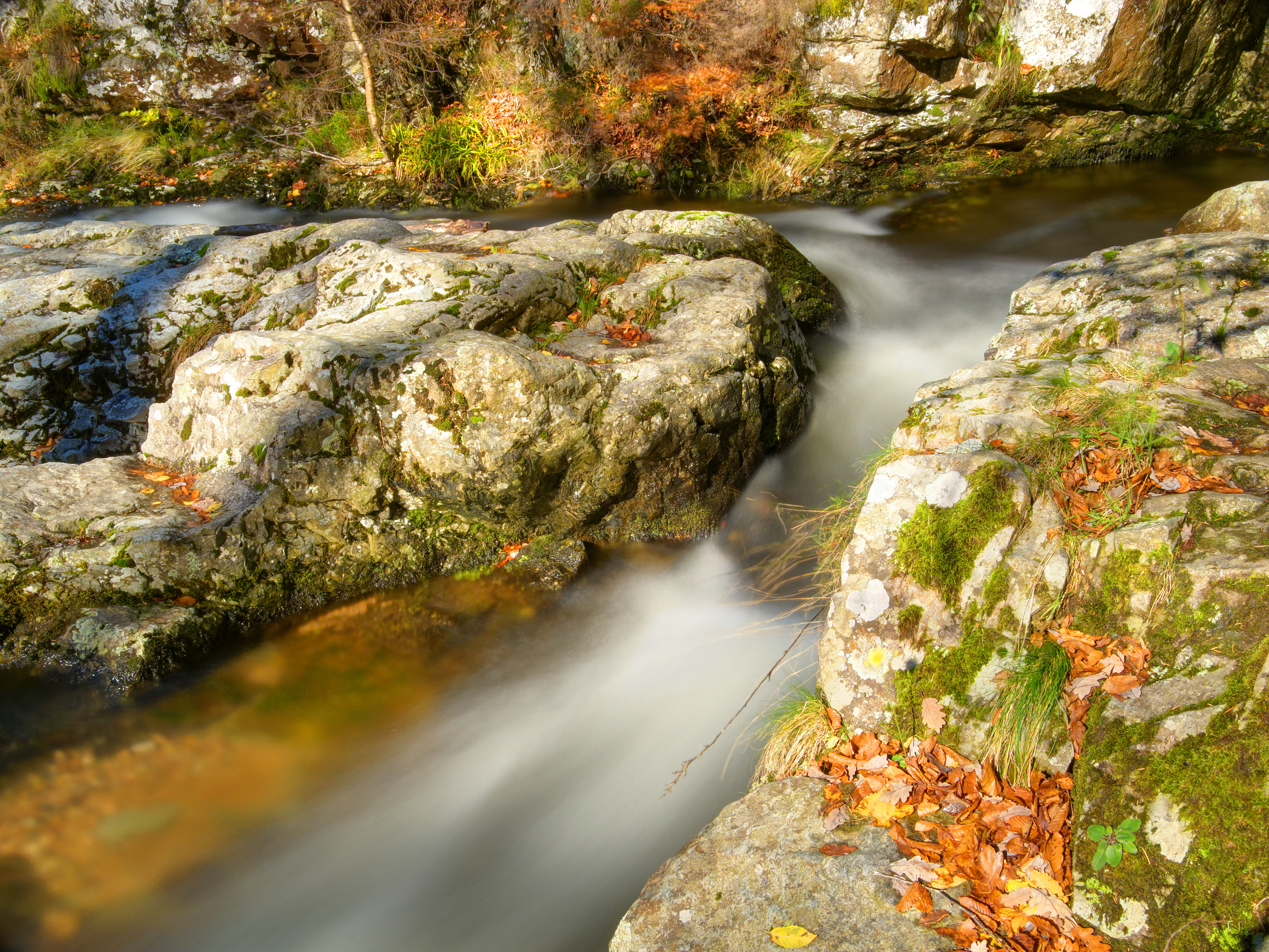 2013-10-28 11-30-38 savoureuse-lepuix