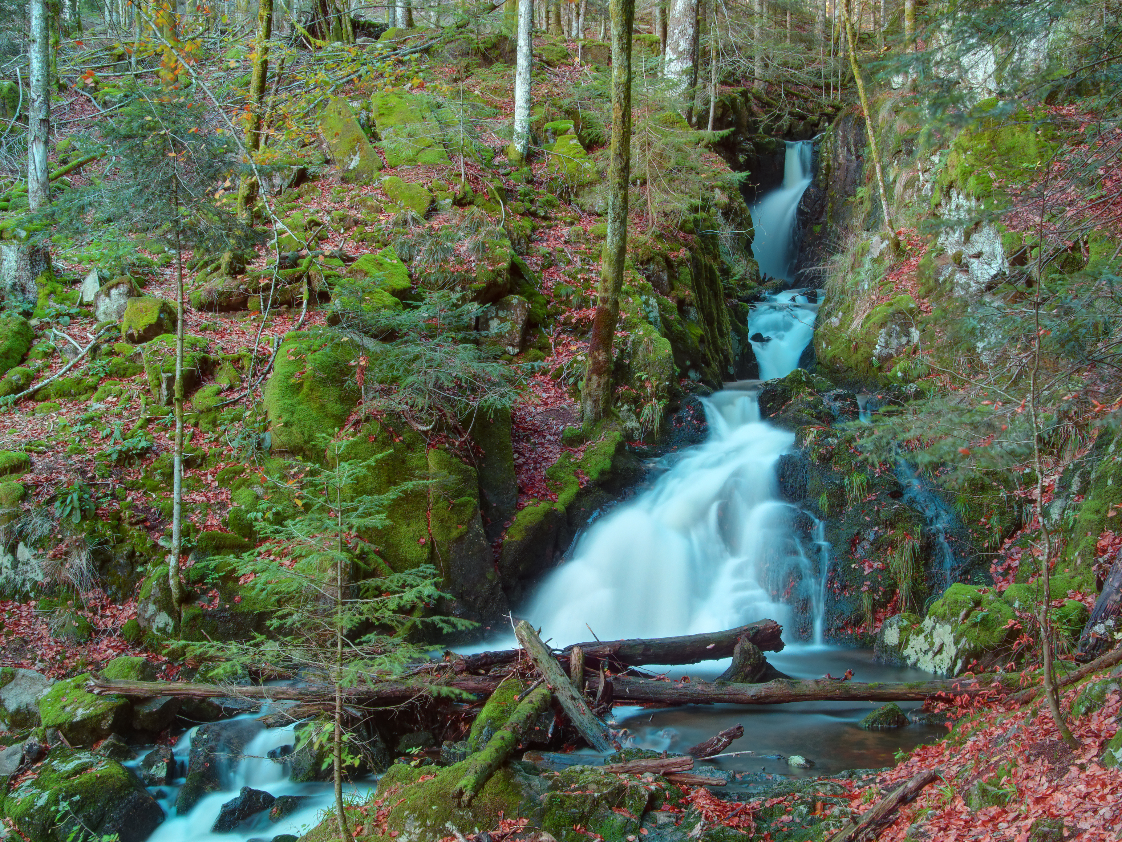 2013-10-30 15-35-28 cascade-savoureuse-lepuix