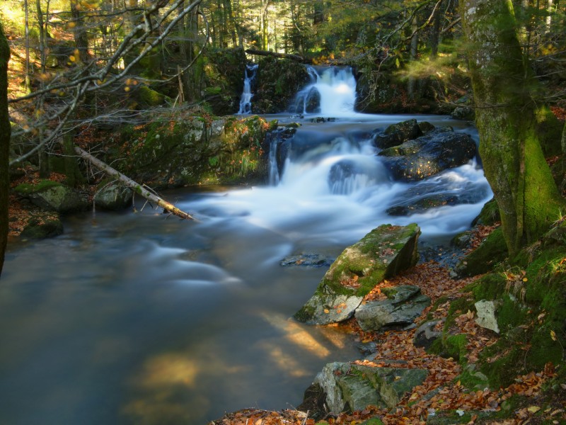 2013-10-28 11-39-55 savoureuse-lepuix