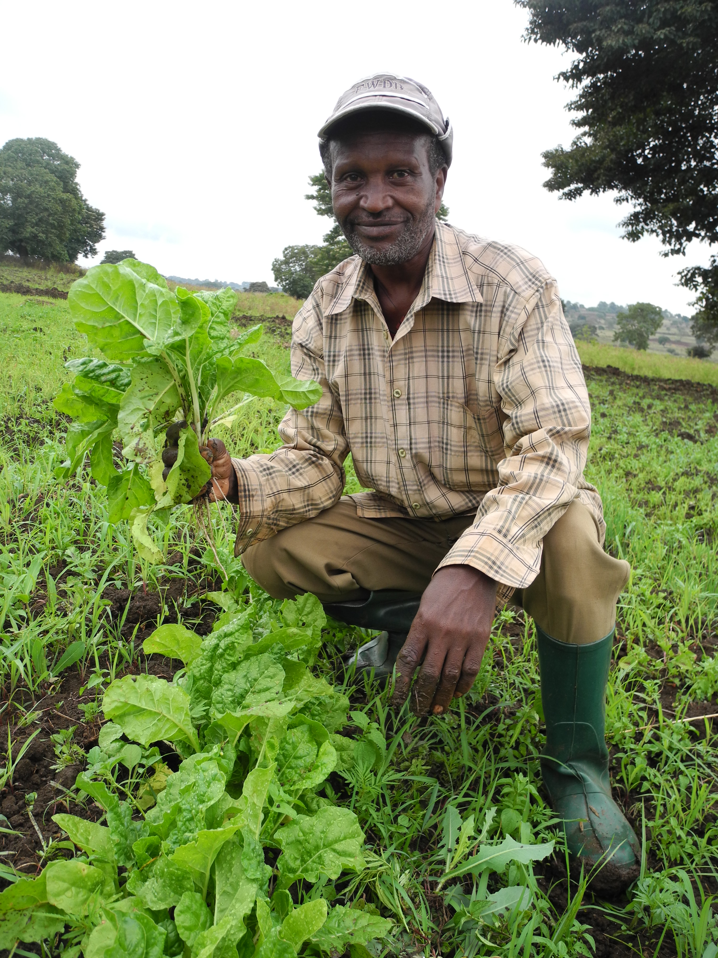 Ethiopia 2, Livelihoods 7) (9799992996)