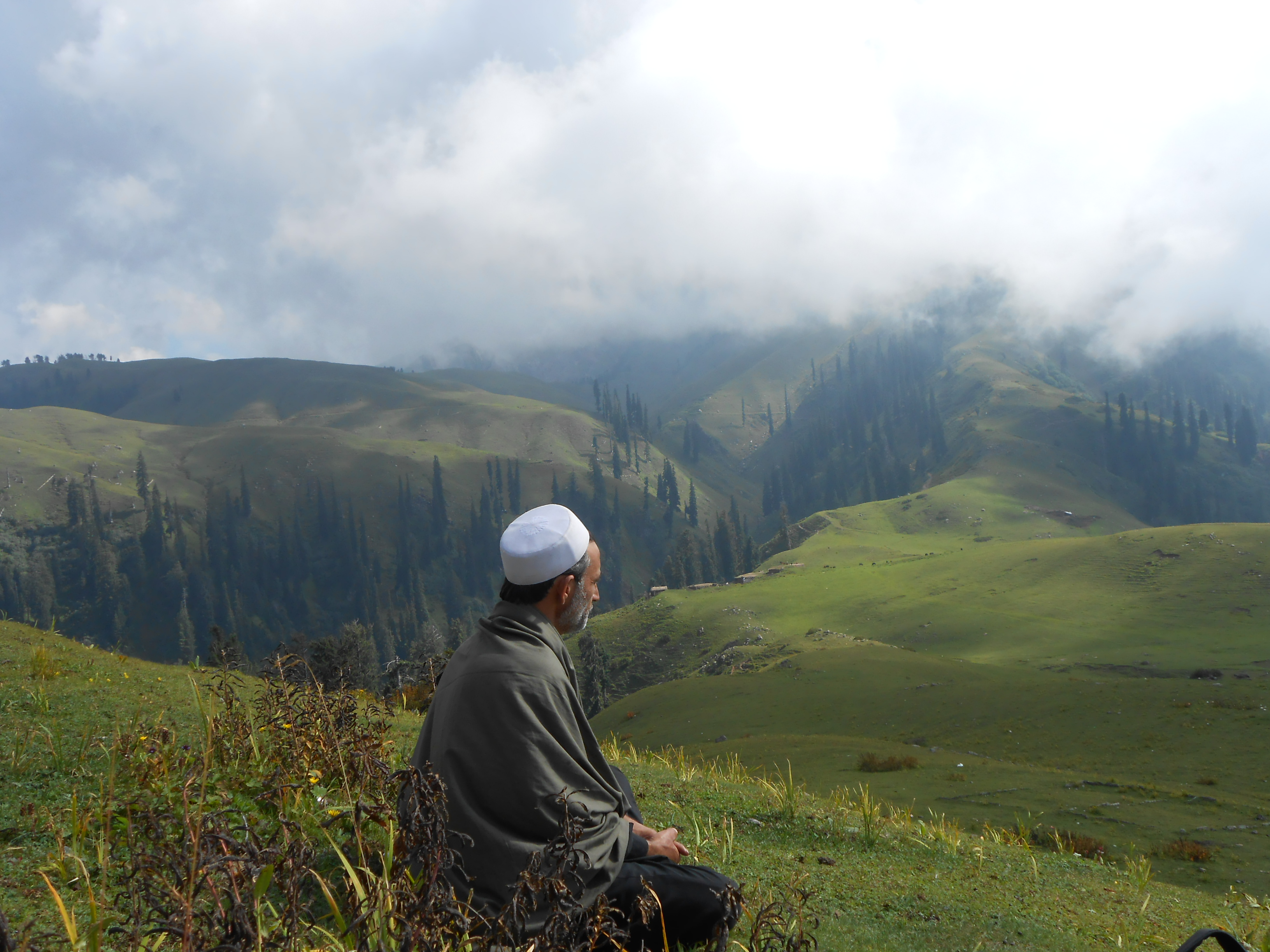 Meadows of Paye - Shogran