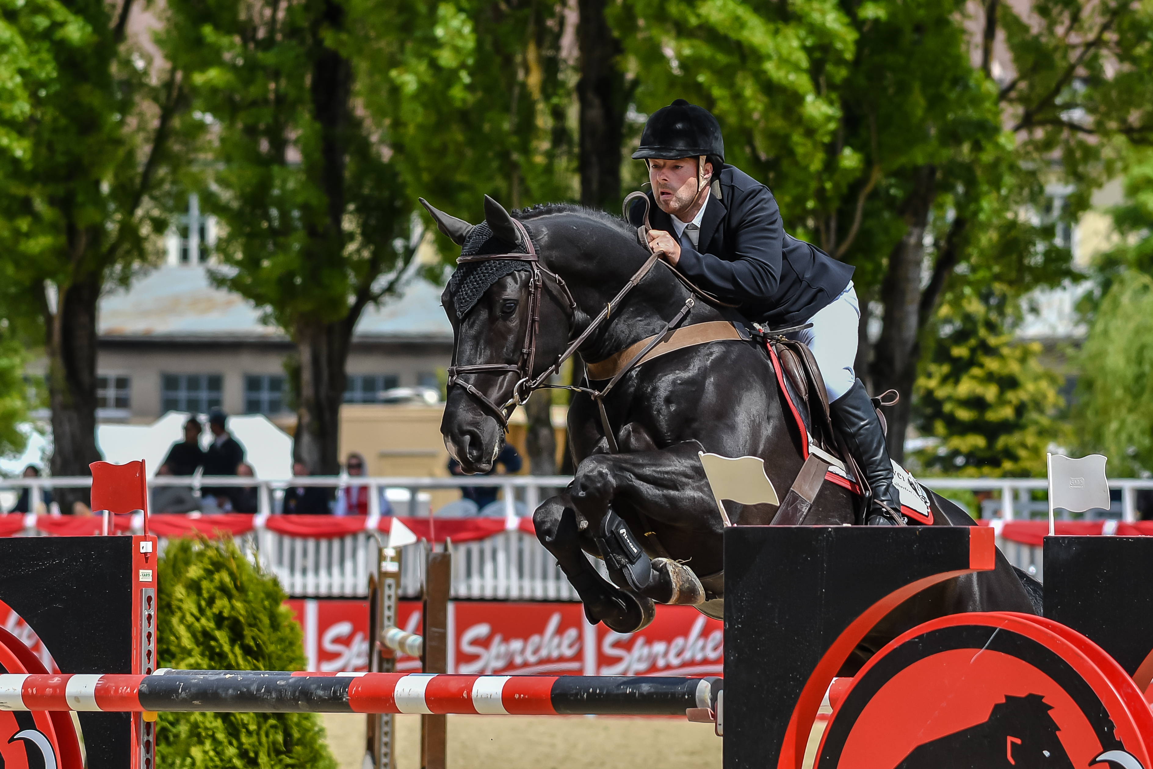 CSIO4 Linzer Pferdefestival 2017-Robert Whitaker-Hickstaedt AEG-5423