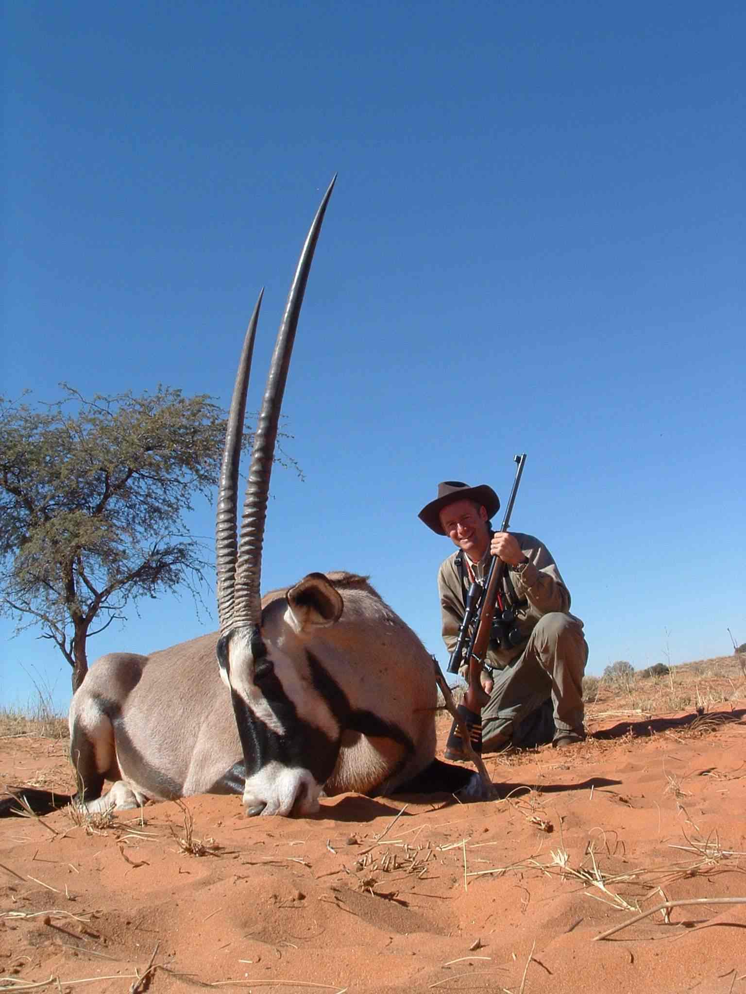 Gl gemsbok2