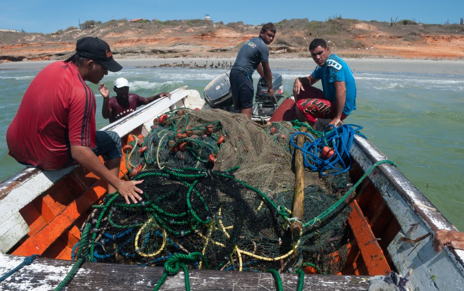 Fishing in El Manglillo Bay, Margarita Island 07