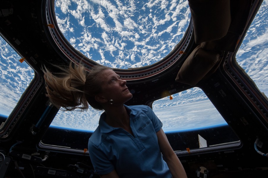 Karen Nyberg looks through Cupola on ISS (ISS037-E-026900)