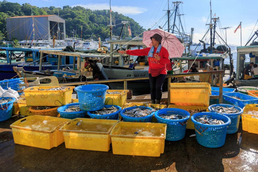 Sandakan Sabah Fishmarket-in-Sandakan-Harbour-02