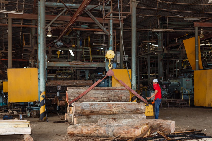 Sandakan Sabah Plywood-Factory-20c