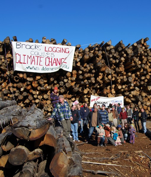 Victorian Central Highlands log dump 03 Pengo