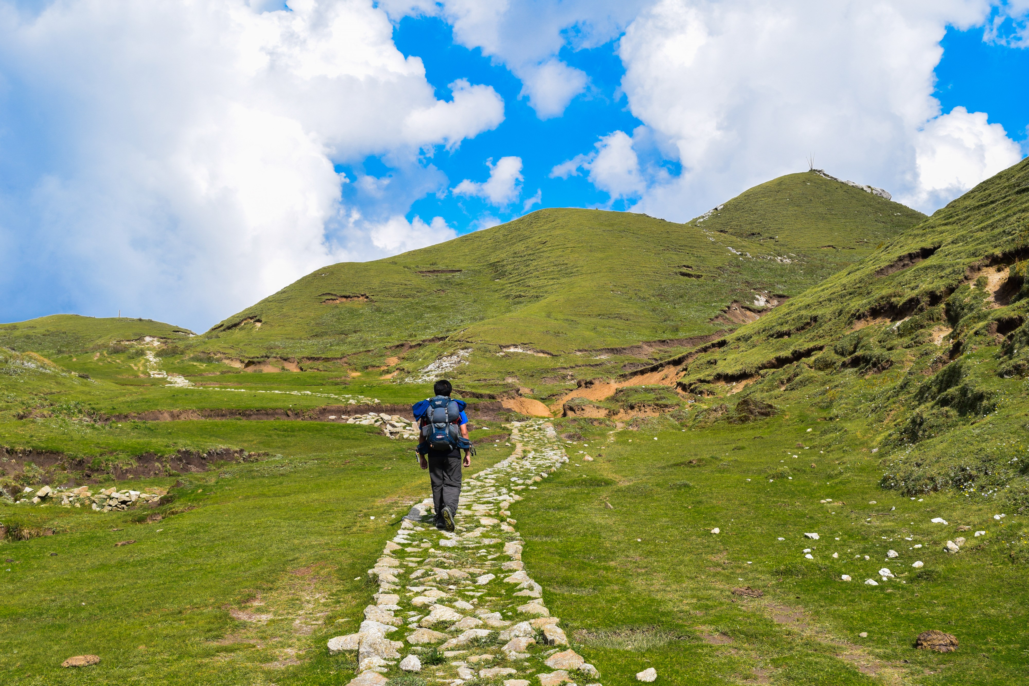 Meadows of Khaptad National Park, Nepal