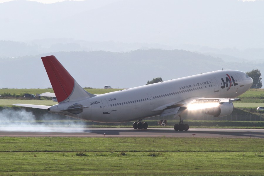 JAL A300-600R(JA8376) (4912631702)