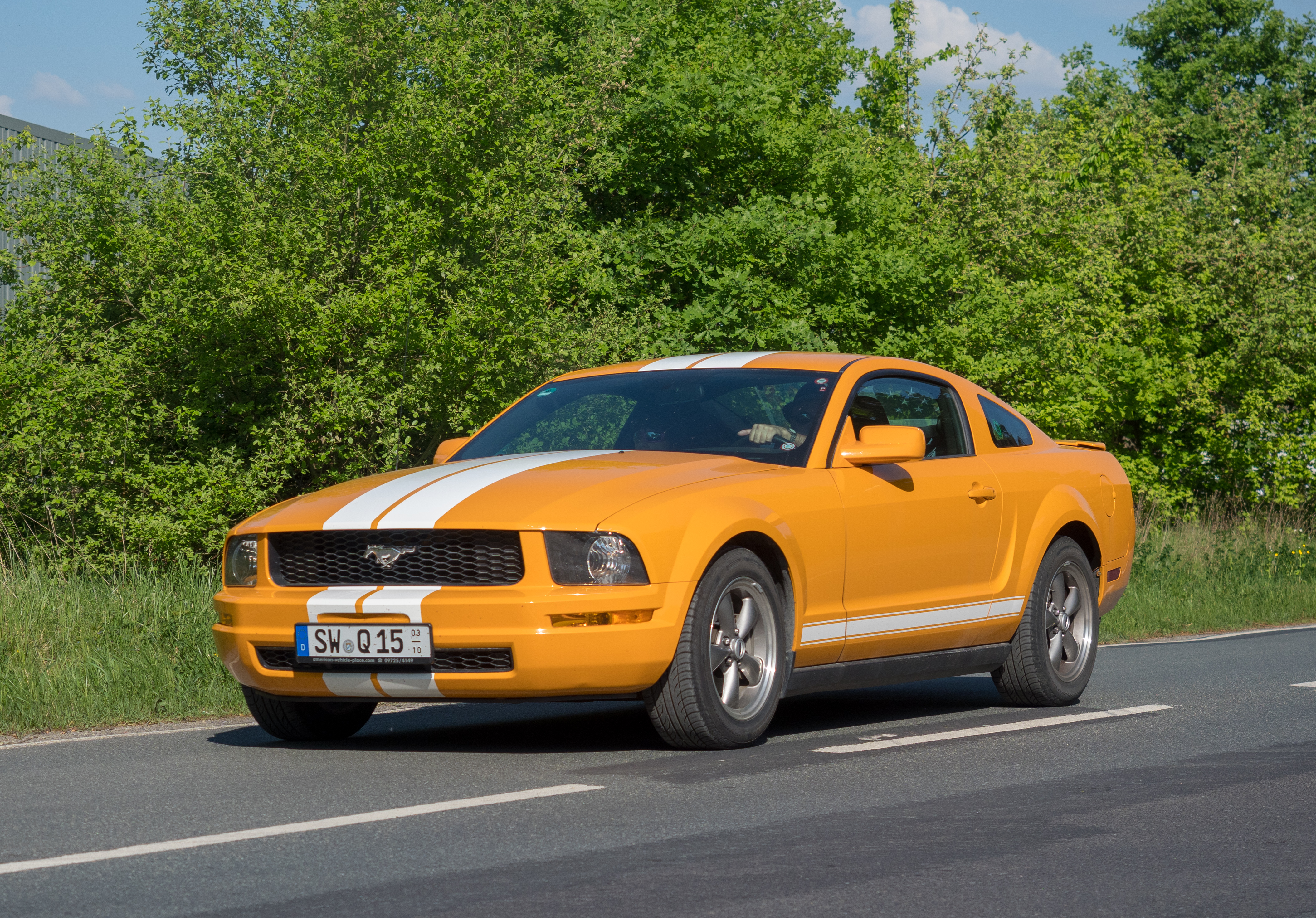 Ford Mustang V 4290564