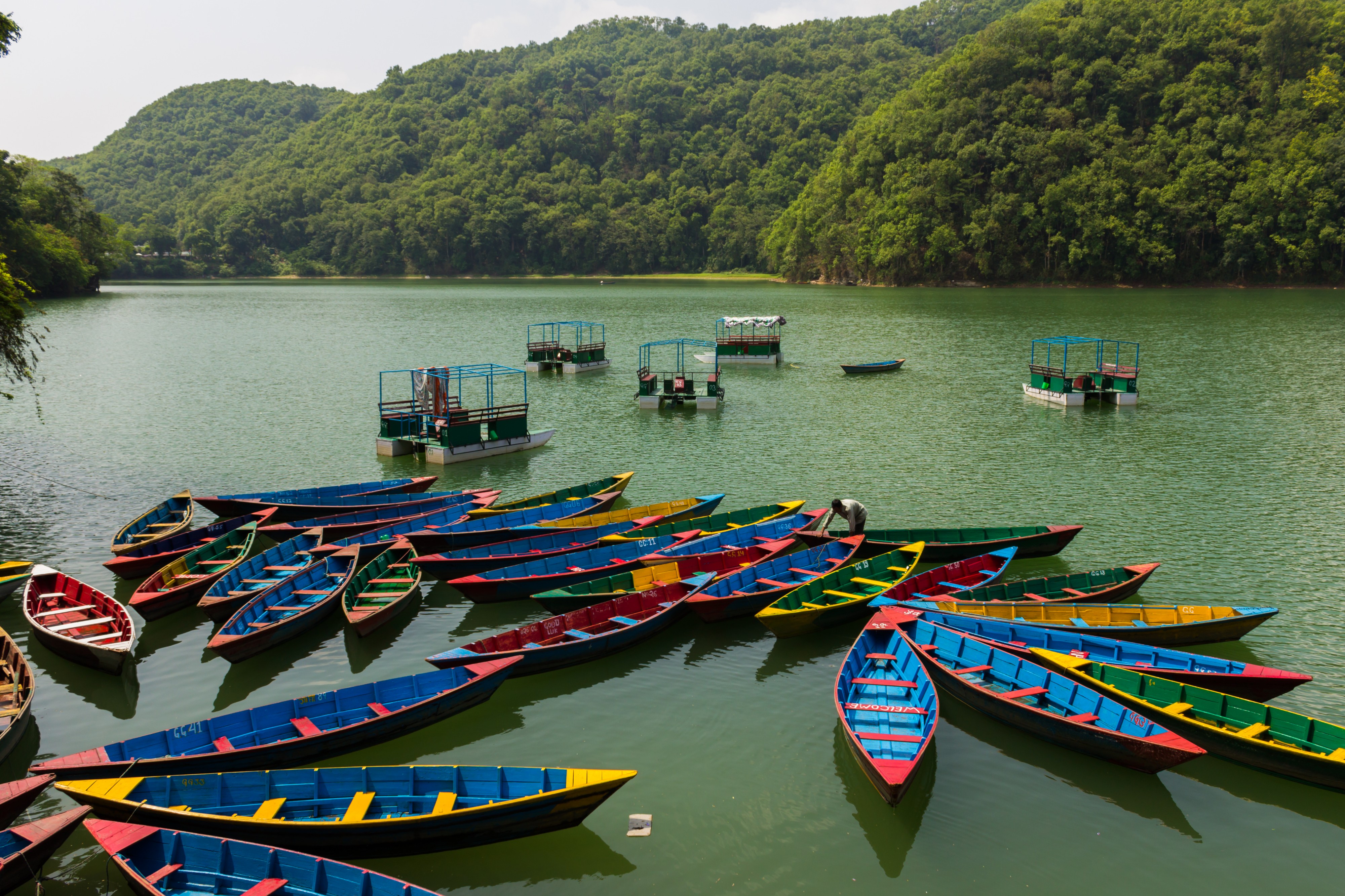 Phewa Lake 2602